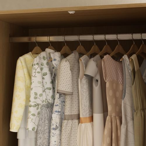 Rattan Door Wardrobe Closet with 2 Drawers and Shelves, Hanging Rod H5995
