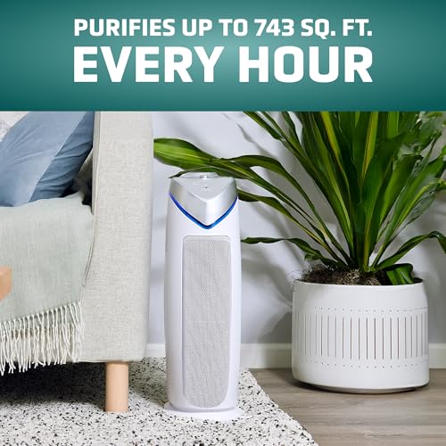 Air Purifier with HEPA Filter for Large Rooms, Removes Smoke, Pet Dander, Pollen, and Odors E469