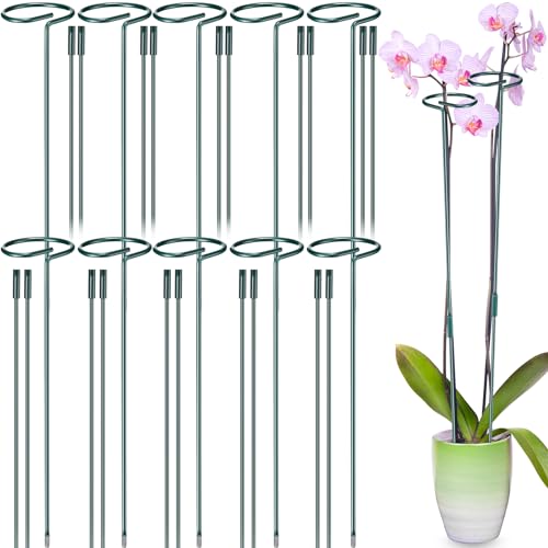24 Pack Plant Support Stakes for Three Sizes(12 or 24 or 36 Inch) Metal Plant Support Sticks Support Stake Plant Stem for Flowers Amaryllis Tomato Lily Peony Rose Flower Narcissus(24 Inch)