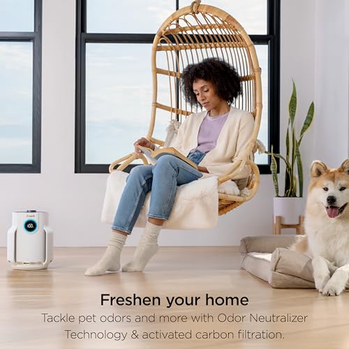 Air Purifier for Home Large Room with HEPA Filter, Covers 650 Sq. Ft L965