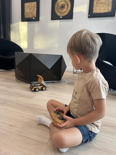 Remote Control Excavator Construction Toy for Boys, 11CH with Metal Shovel and Lights N4221