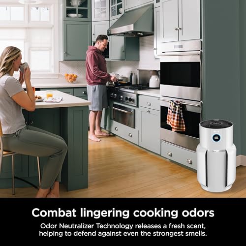 Air Purifier for Home Large Room with HEPA Filter, Covers 650 Sq. Ft L965