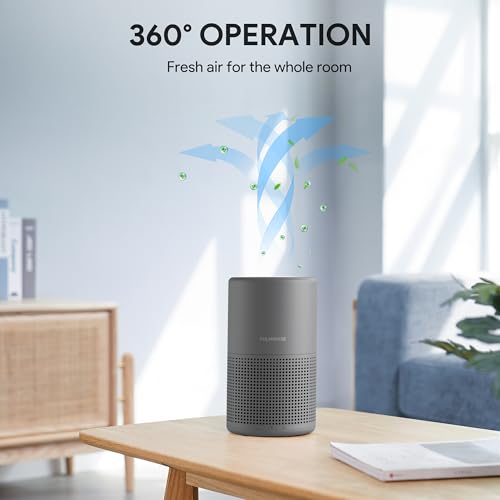 H13 True HEPA Air Purifier for Bedroom, Quiet with Night Light R447898