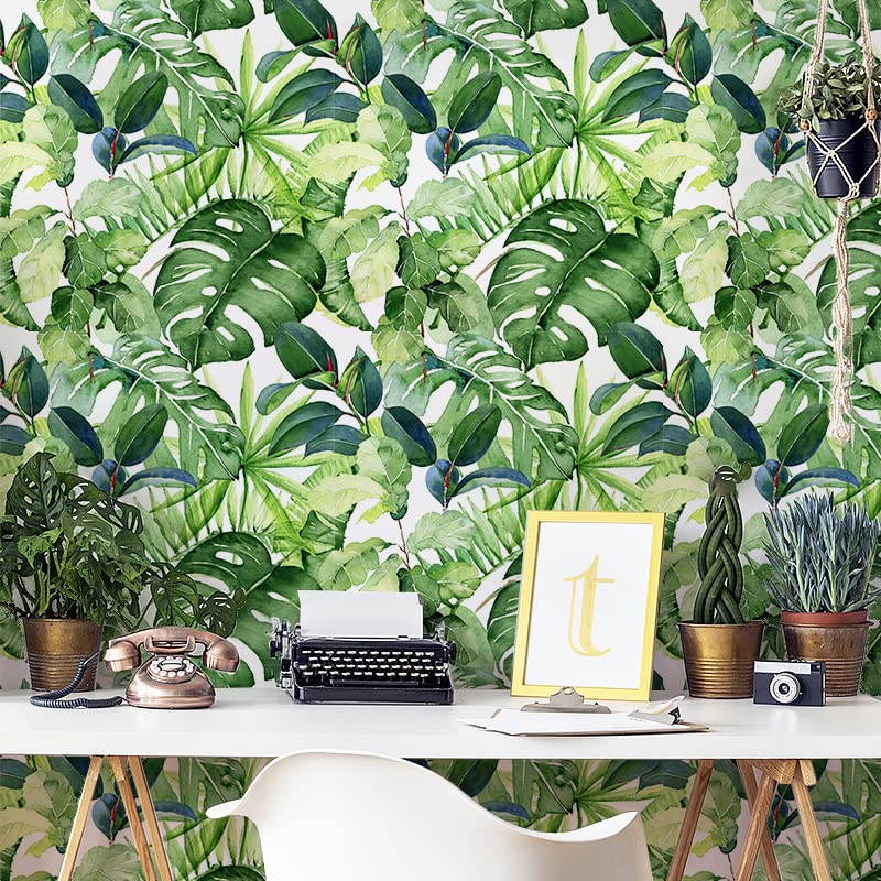 Tropical Palm Leaves Peel and Stick Wallpaper Removable H241043