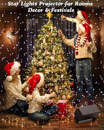 Outdoor Laser Lights Projector with Remote Control for Holiday Decor W676