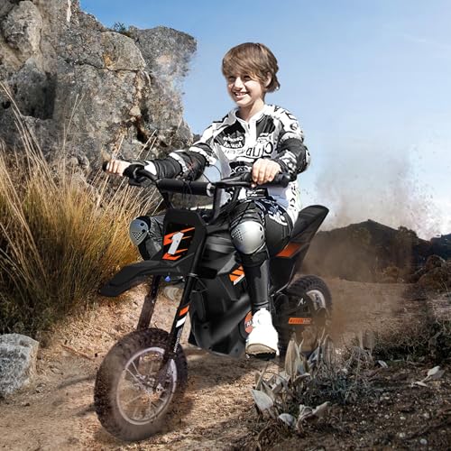 Kids Electric Dirt Bike 250W Off-Road Motorcycle Z852125