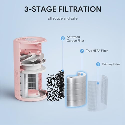 H13 True HEPA Air Purifier for Bedroom, Quiet with Night Light R447898