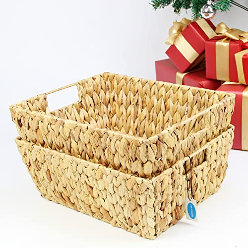 Large Square Hyacinth Storage Baskets with Handles, 2-Pack A20768