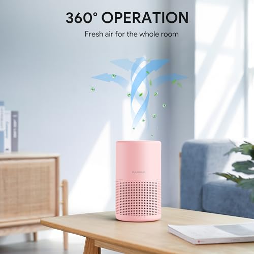 H13 True HEPA Air Purifier for Bedroom, Quiet with Night Light R447898