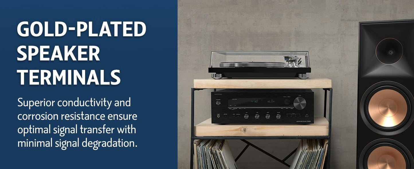 2 Channel Stereo Receiver with Wi-Fi and Bluetooth F25238
