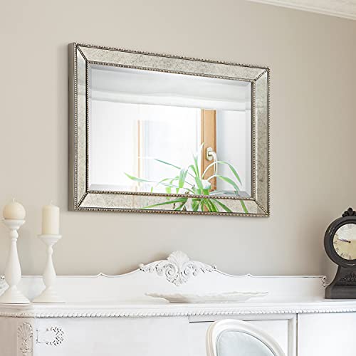 Antique Beveled Wall Mirror, 24" x 54", Ready to Hang H690609