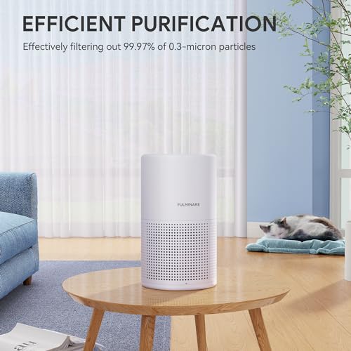H13 True HEPA Air Purifier for Bedroom, Quiet with Night Light R447898