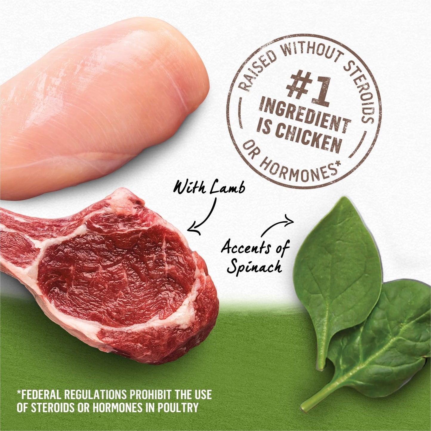 Wet Dog Food Chicken Lamb Spinach, 13 oz Cans (12 Pack) R17836