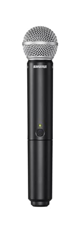 Wireless Microphone System with Dual Handheld Mics T644