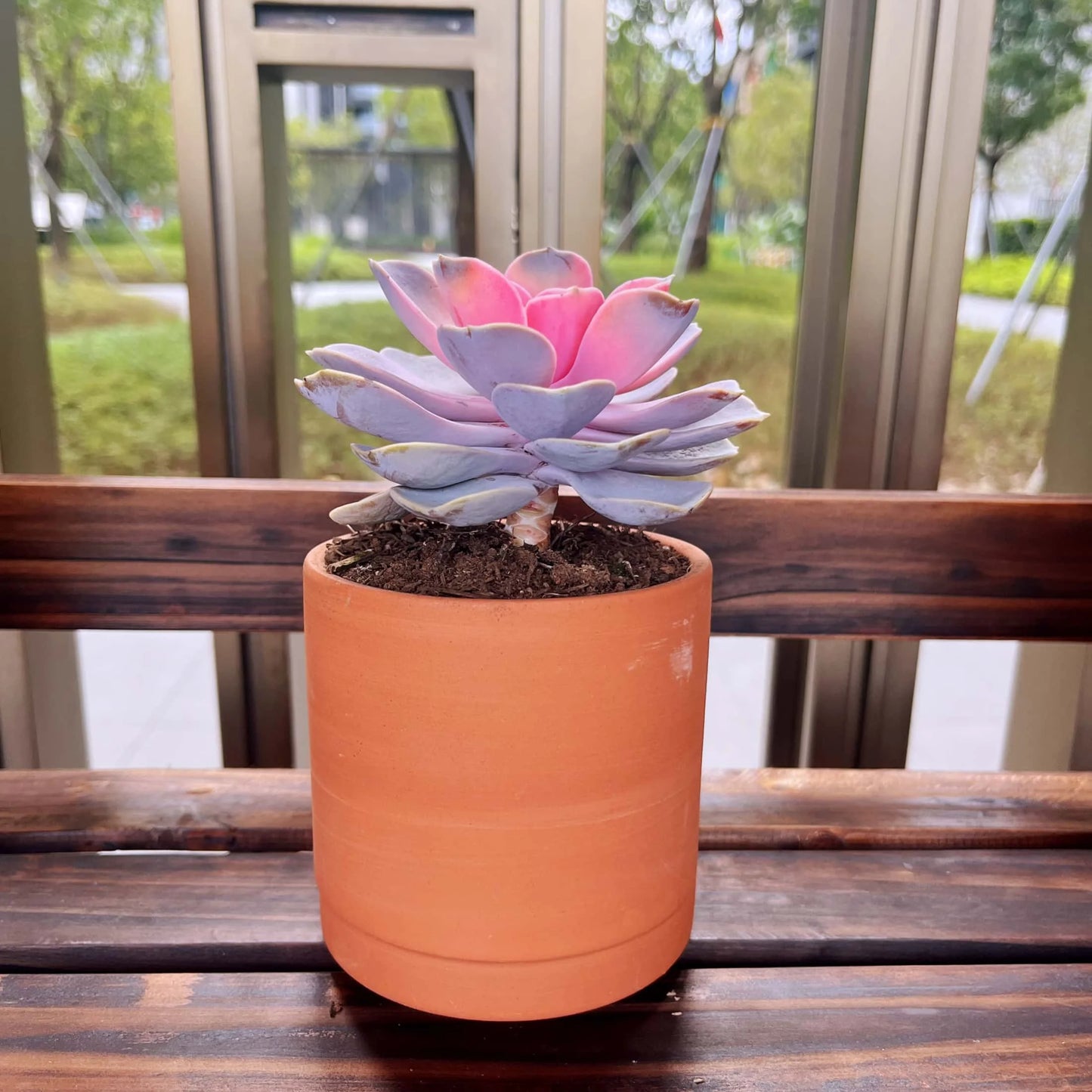 Terracotta Flower Pots with Drainage Holes, 3 Count W9403