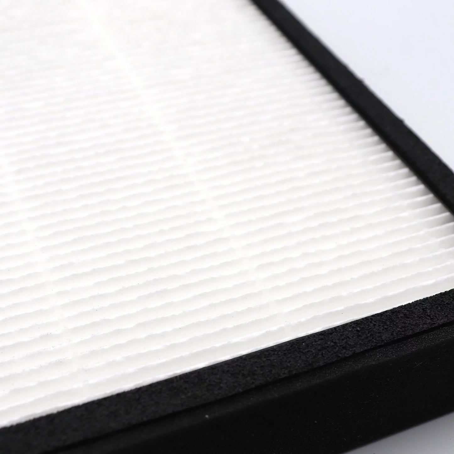 True HEPA Carbon Filter Replacement, 2 Pack G6479