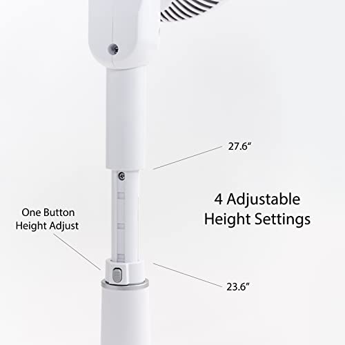 Pedestal Standing Fan with Remote, 360 Oscillating, 12 Speeds, Low Noise L865424