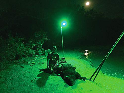 Motion Activated Feeder Light with Remote Control I7001