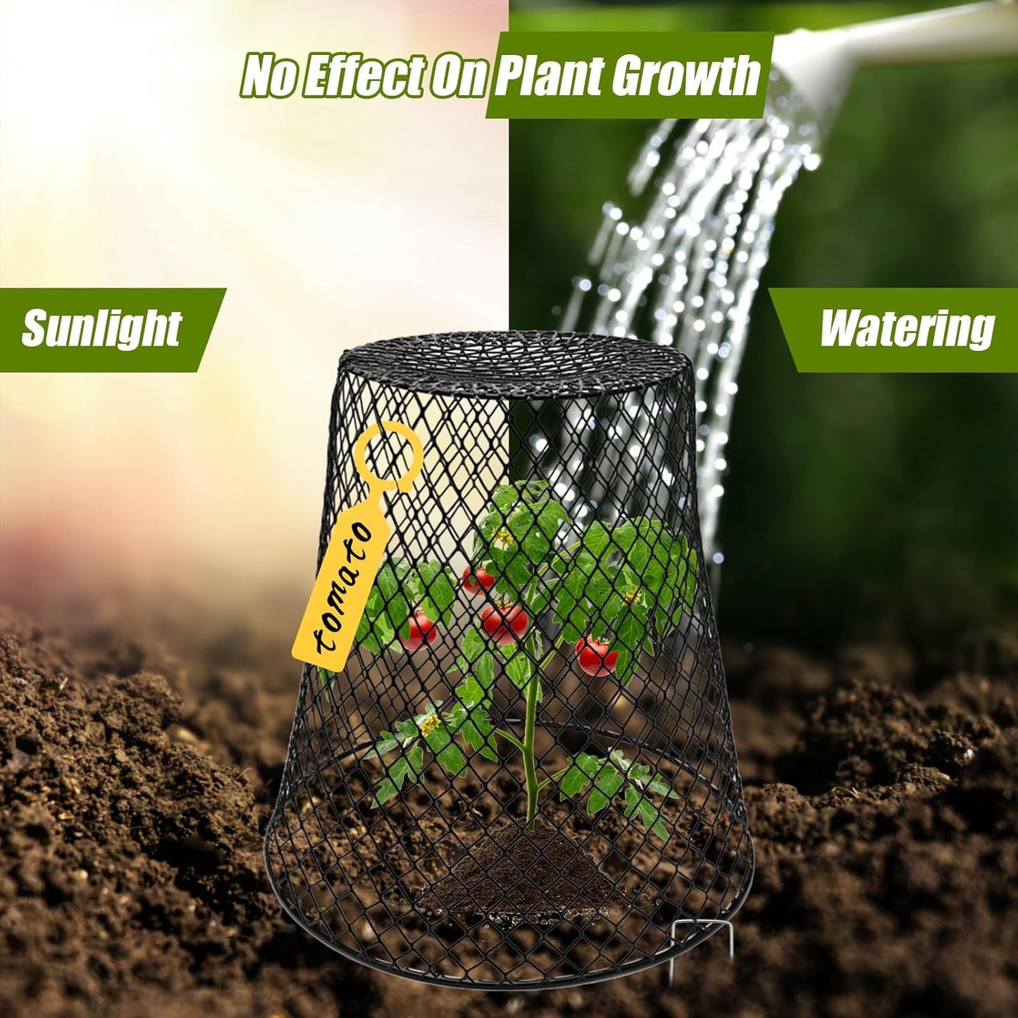 Wire Cloche Plant Covers for Garden Protection, 12 Pack V40814