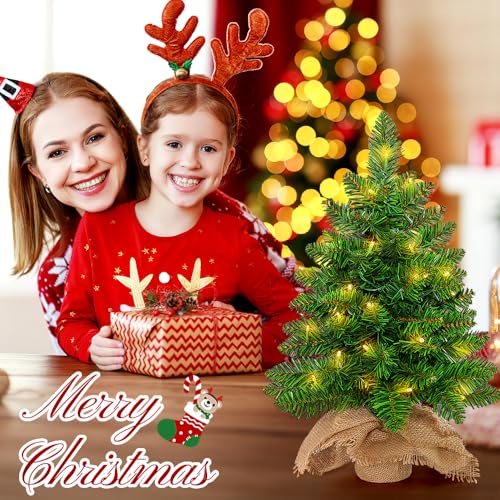 2ft Pre Lit Artificial Mini Christmas Tree with 50 LED Warm Lights L2578