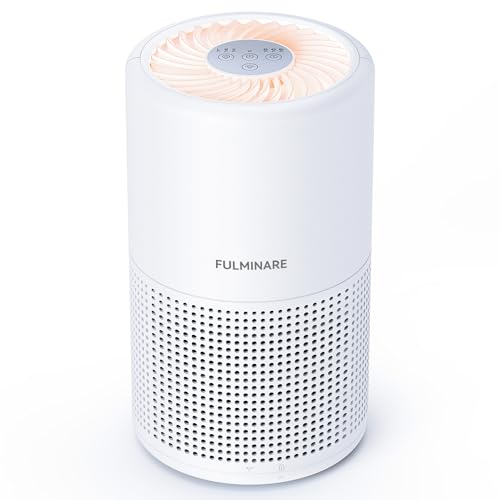 H13 True HEPA Air Purifier for Bedroom, Quiet with Night Light R447898