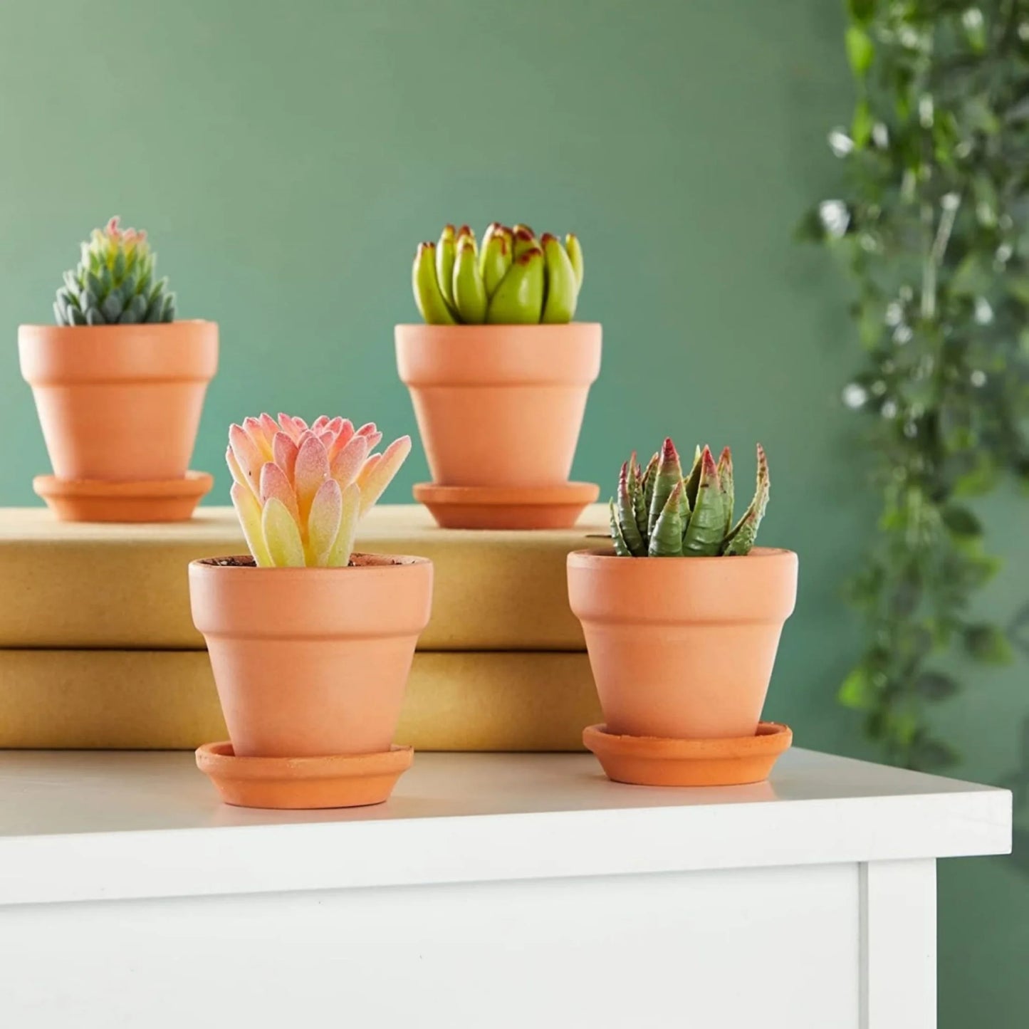 3" Terracotta Pots with Saucer, 4 Pack with Mini Plant Tools T47489
