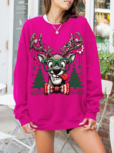 Funny Reindeer Graphic Sweatshirt Oversized Christmas Pullover J1348