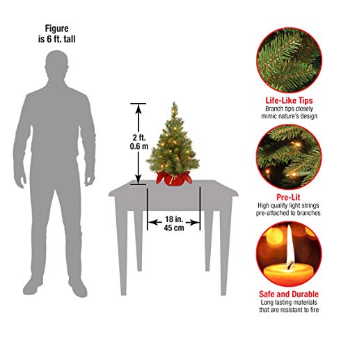 24 in Pre-Lit Mini Artificial Christmas Tree with 35 Clear Lights Z659685