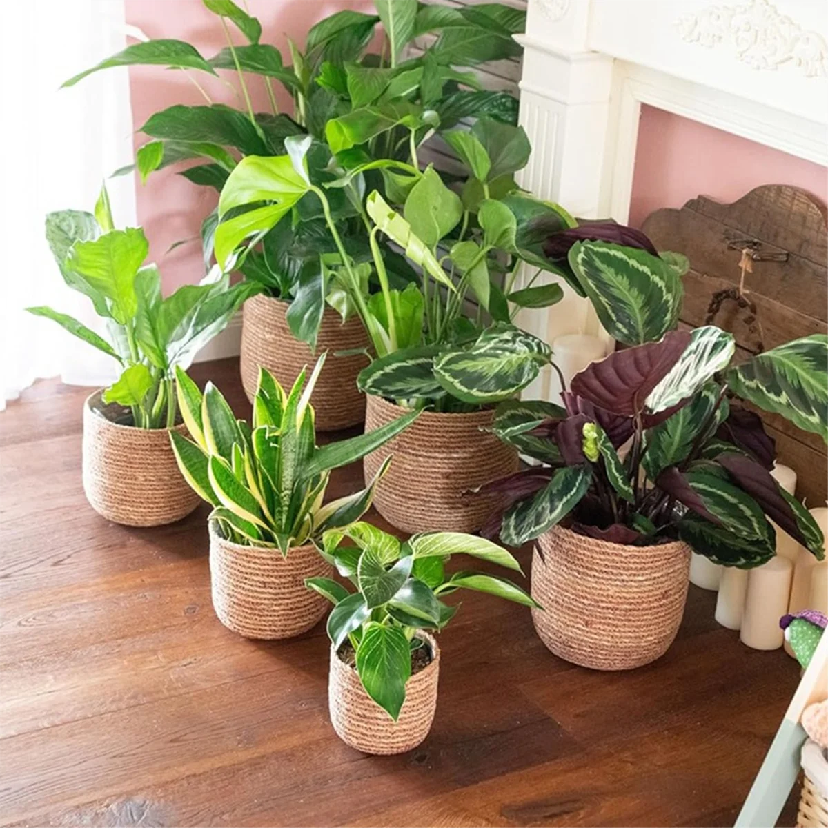 Woven Seagrass Plant Pot with Plastic Insert H39480