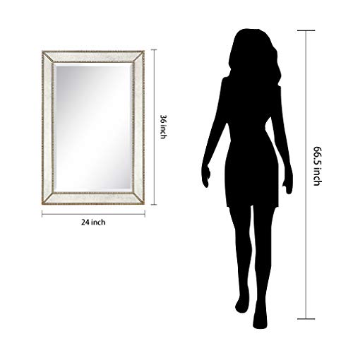 Antique Beveled Wall Mirror, 24" x 54", Ready to Hang H690609