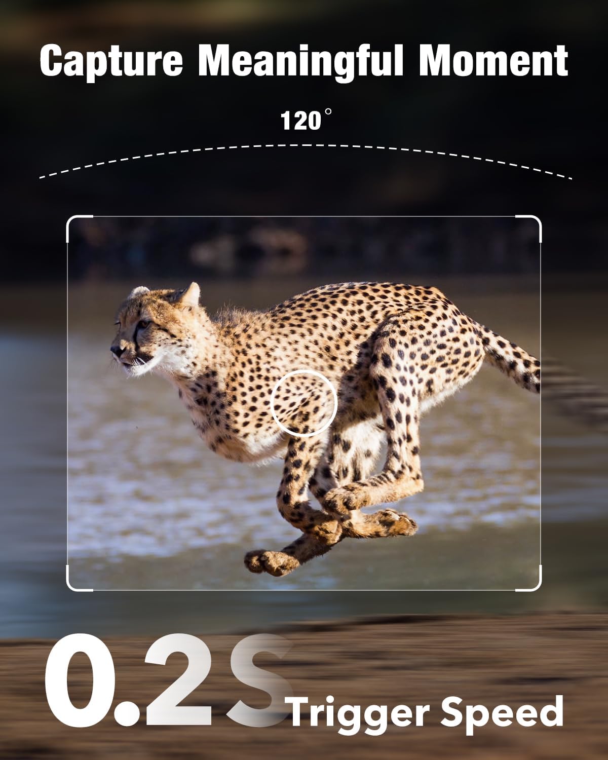 Solar Powered 4G LTE Cellular Trail Camera with 4K Live Video and App Control P87528