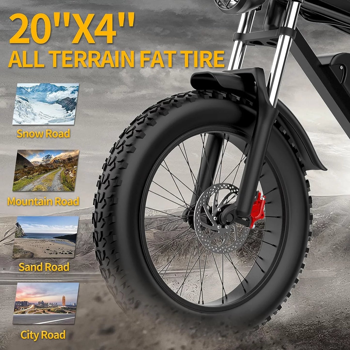 20" Fat Tire Electric Bike 1000W with Removable Battery C295866