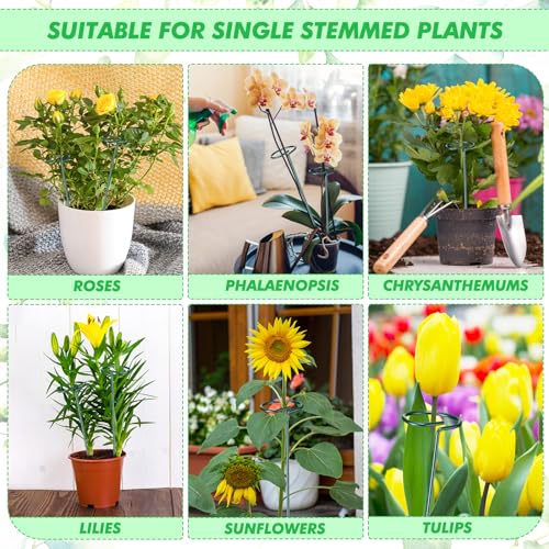 Plant Support Stakes for Flowers, 24 Inch, 24 Pack U110
