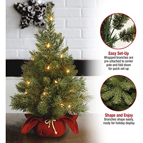 24 in Pre-Lit Mini Artificial Christmas Tree with 35 Clear Lights Z659685