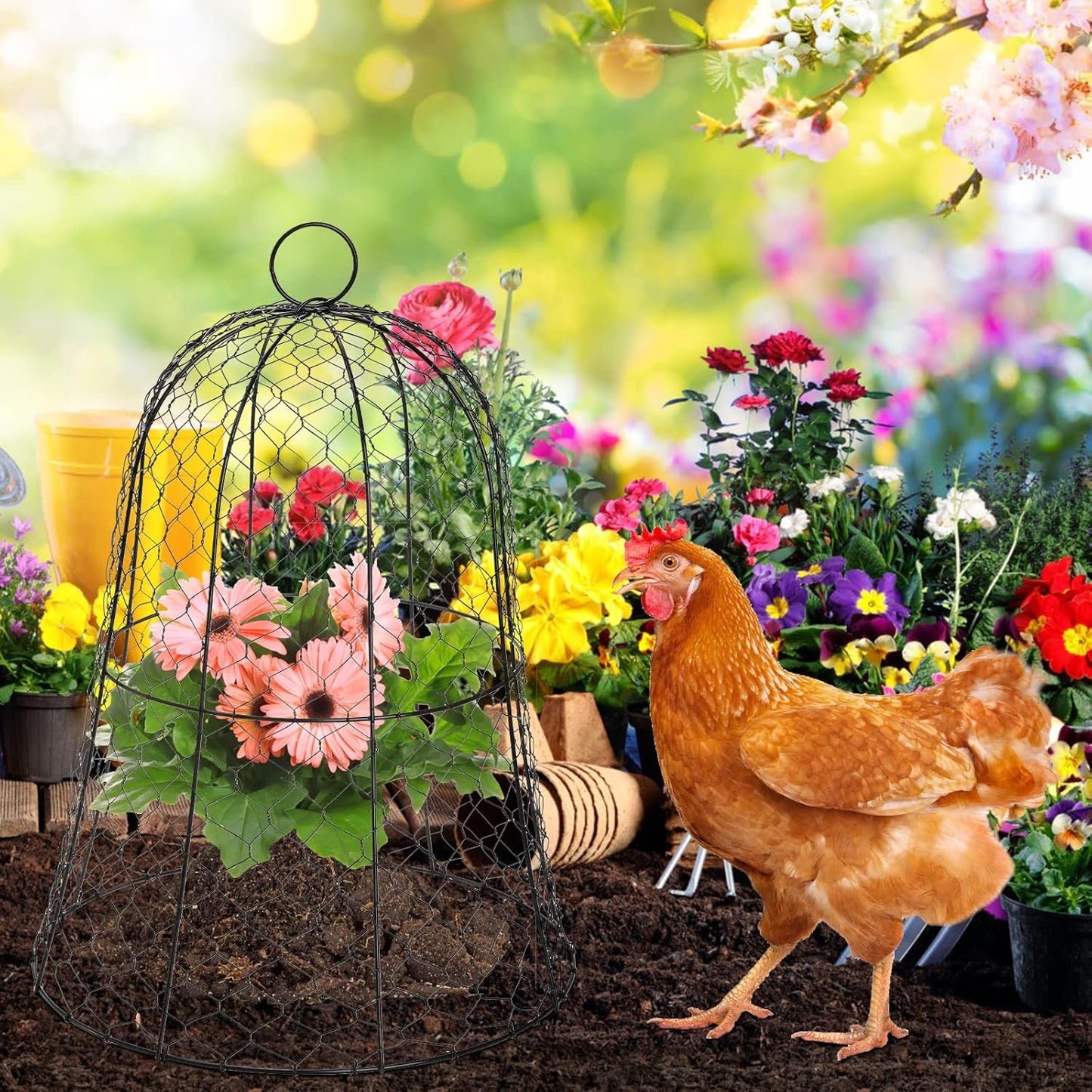 Garden Chicken Wire Cloche, 16x13 Inches Black Dome Plant Protector Cover Z132