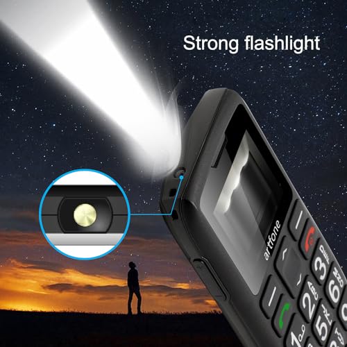 Unlocked Big Button 4G LTE Cell Phone for Seniors with SOS and USB-C Charging T176
