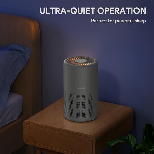 H13 True HEPA Air Purifier for Bedroom, Quiet with Night Light R447898