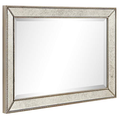 Antique Beveled Wall Mirror, 24" x 54", Ready to Hang H690609