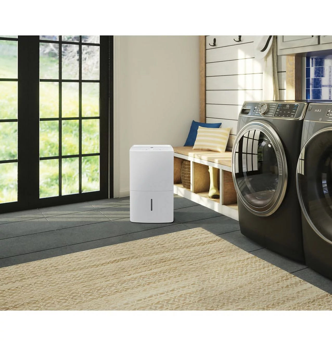 Dehumidifier with Built-In Pump X369570