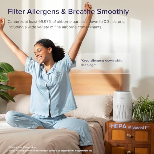 Air Purifier for Bedroom Home, 3-in-1 Filter Cleaner with Fragrance Sponge for Better Sleep, Portable S3072