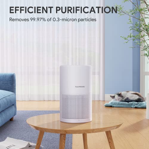 H13 True HEPA Air Purifier for Bedroom, Quiet with Night Light R447898