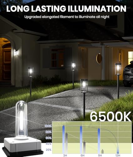 Solar Pathway Lights Outdoor, IP65 Waterproof, Auto On/Off Z346