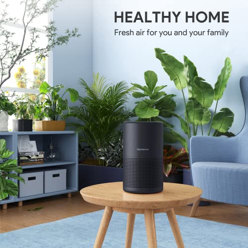 H13 True HEPA Air Purifier for Bedroom, Quiet with Night Light R447898