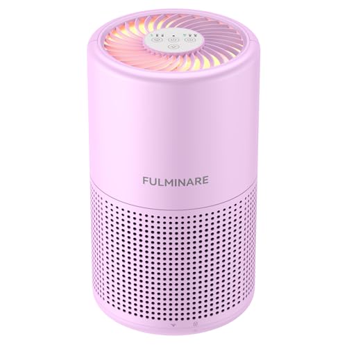 H13 True HEPA Air Purifier for Bedroom, Quiet with Night Light R447898