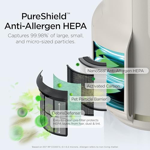 Air Purifier for Home Large Room with HEPA Filter, Covers 650 Sq. Ft L965
