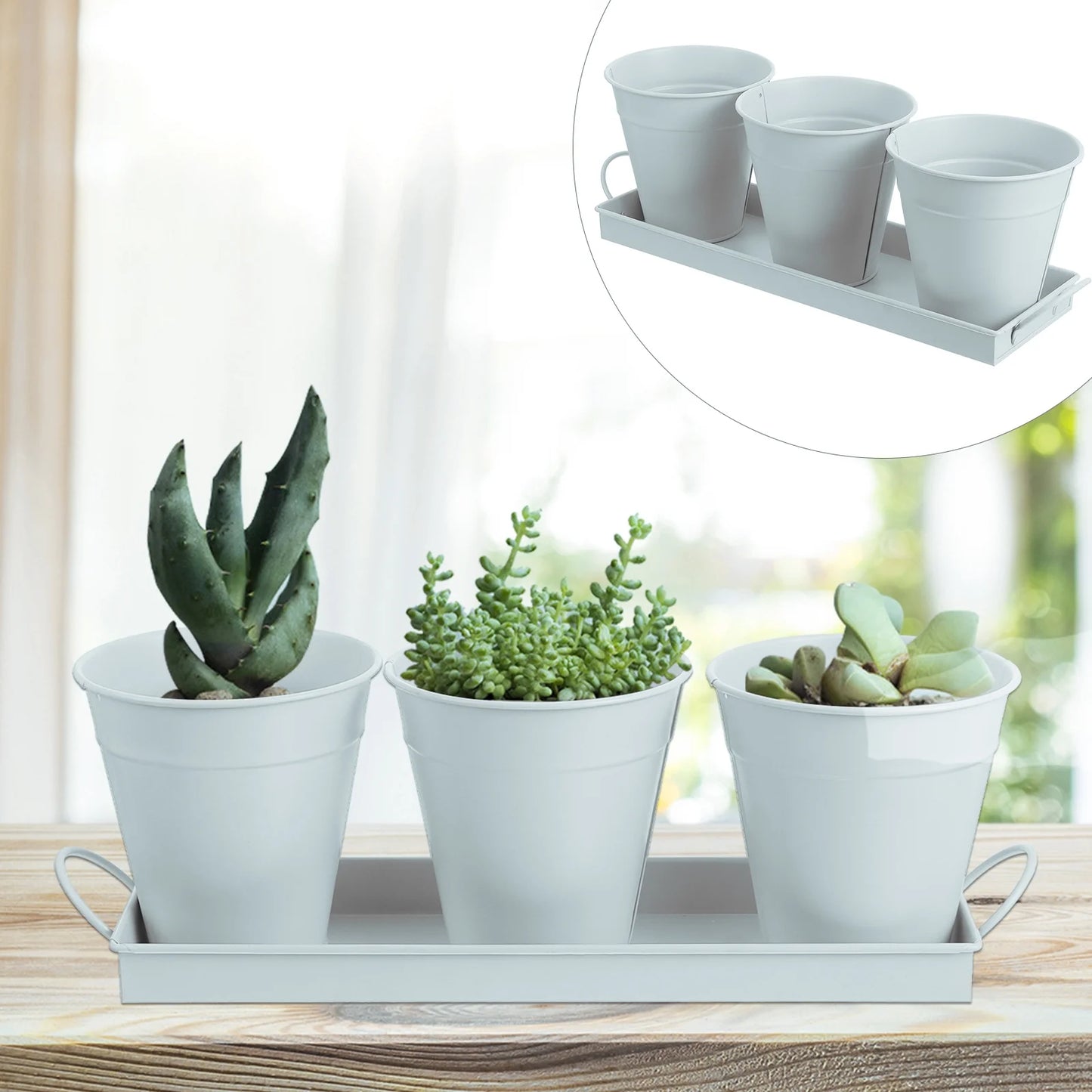 6 pcs Garden Flower Pot with Tray D976
