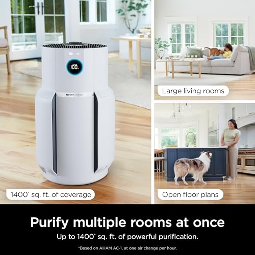 Air Purifier for Home Large Room with HEPA Filter, Covers 650 Sq. Ft L965