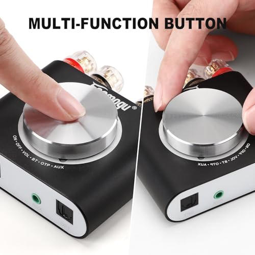 160W Mini Bluetooth 5.0 Power Amplifier, 2 Channel Stereo Hi-Fi Digital Amp W6936