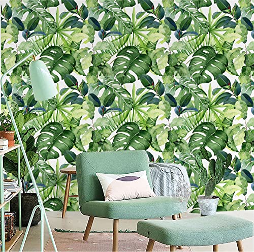 Tropical Palm Leaves Peel and Stick Wallpaper Removable H241043