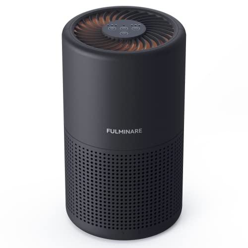 H13 True HEPA Air Purifier for Bedroom, Quiet with Night Light R447898